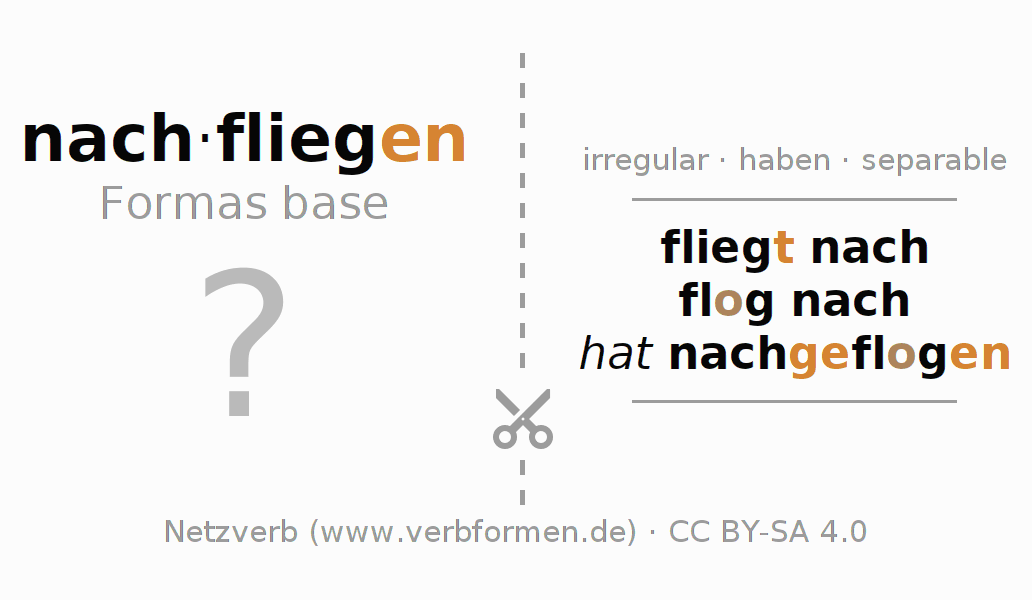 Tarjetas de aprendizaje para la conjugación del verbo nachfliegen (hat)