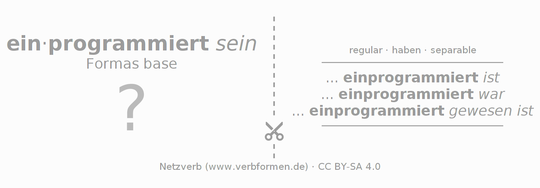 Tarjetas de aprendizaje para la conjugación del verbo einprogrammieren