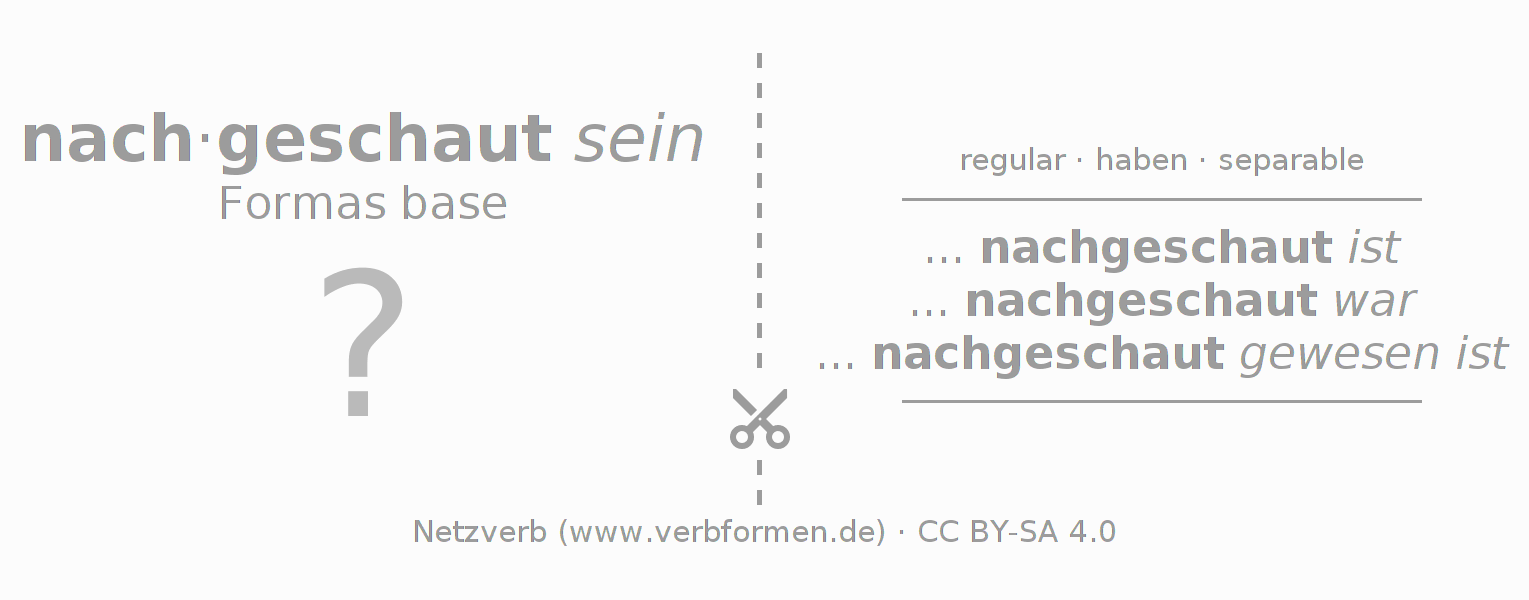 Tarjetas de aprendizaje para la conjugación del verbo nachschauen