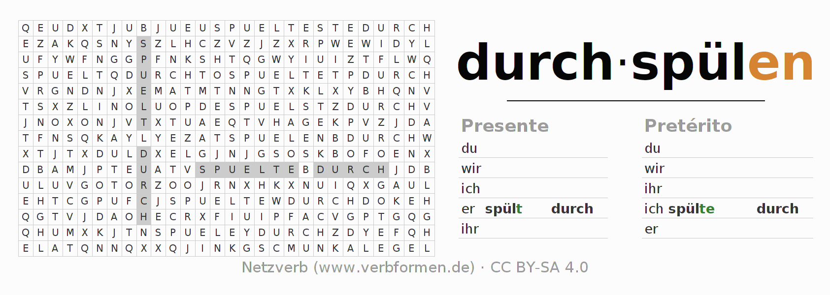 Juego de palabras cruzadas para la conjugación del verbo durchspülen