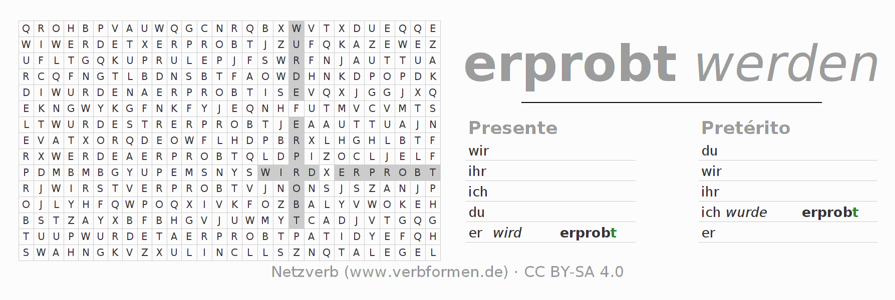 Juego de palabras cruzadas para la conjugación del verbo erproben