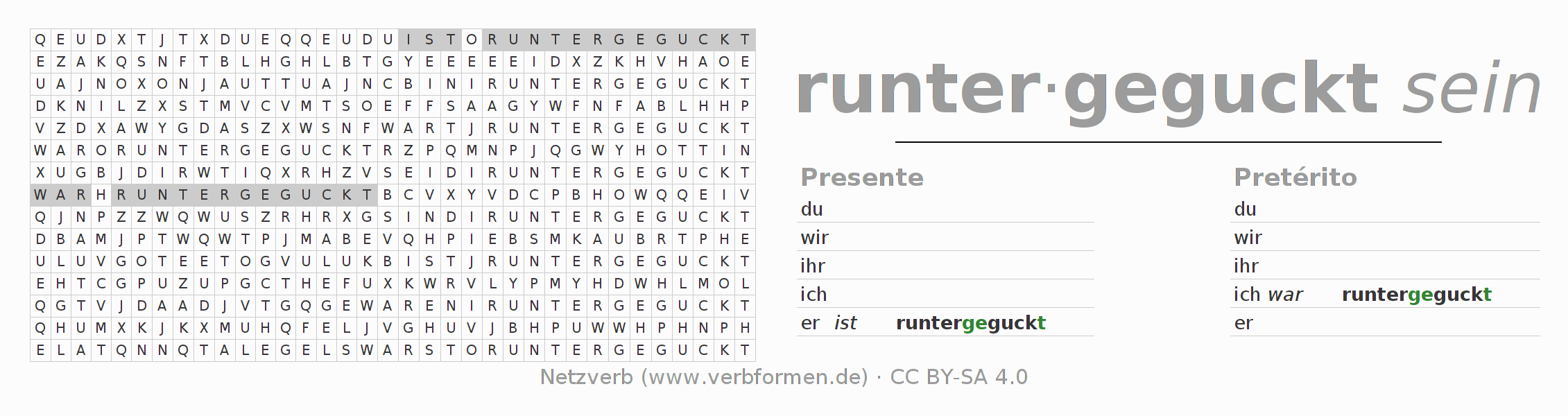Juego de palabras cruzadas para la conjugación del verbo runtergucken