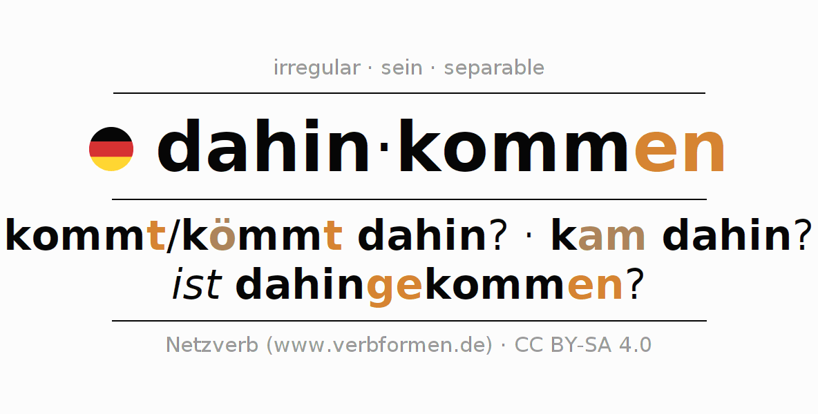 Conjugación del verbo dahinkommen
