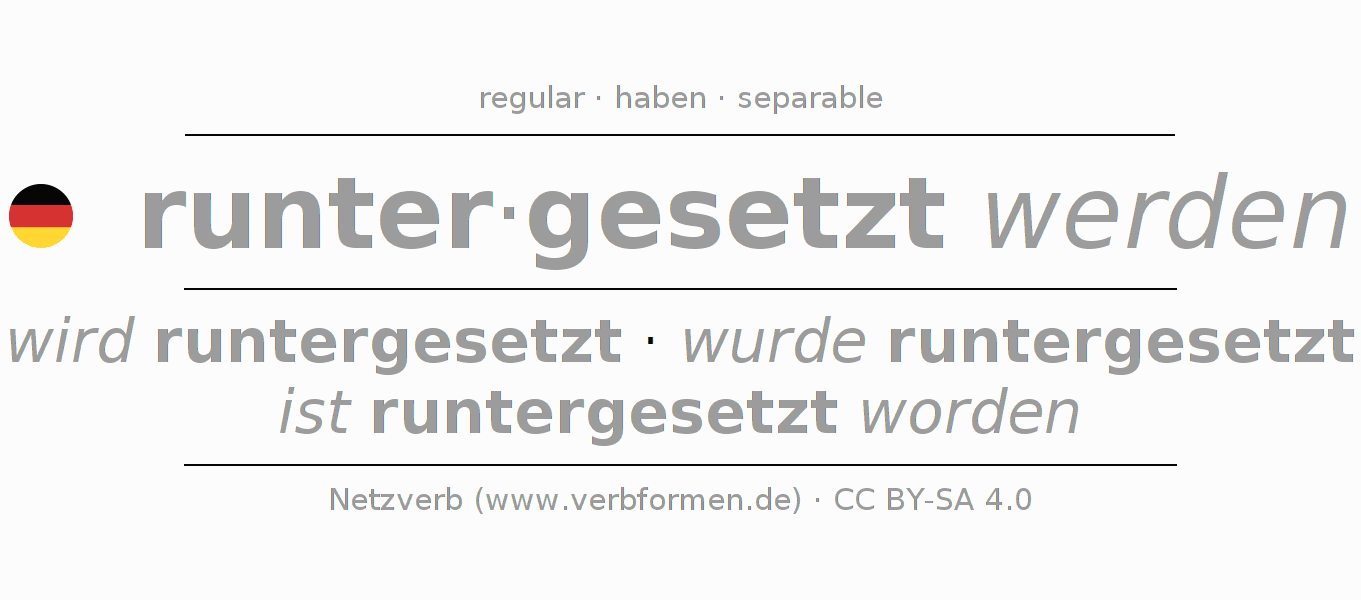 Conjugación del verbo runtersetzen