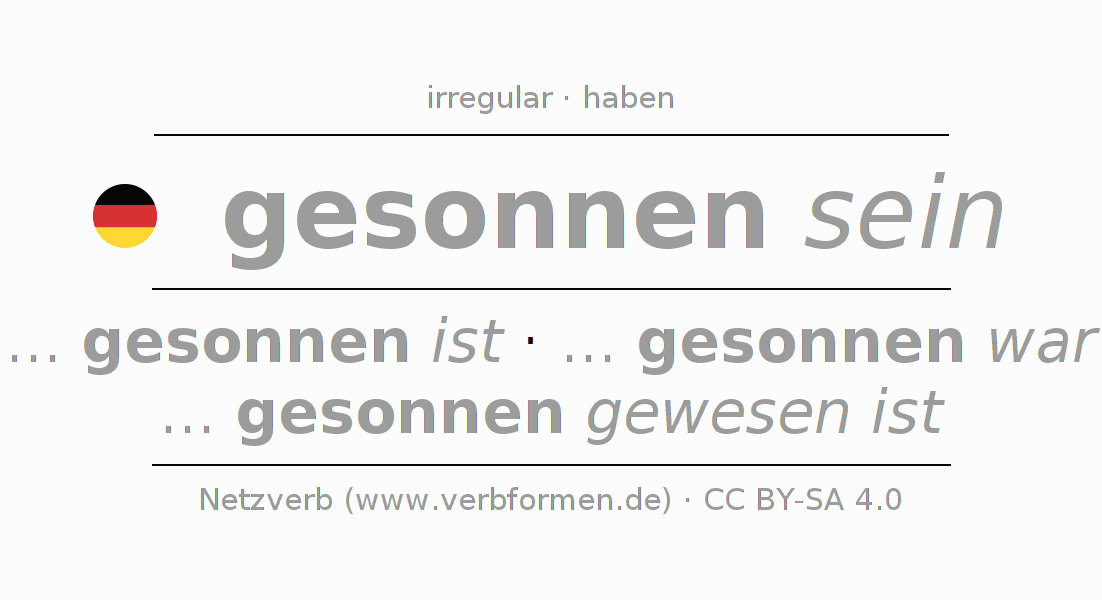 Conjugación del verbo sinnen