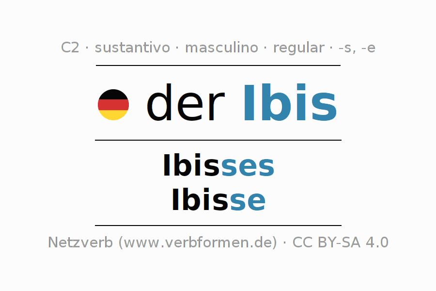 Declinación Ibis Todas las formas, plural, reglas, audio de voz